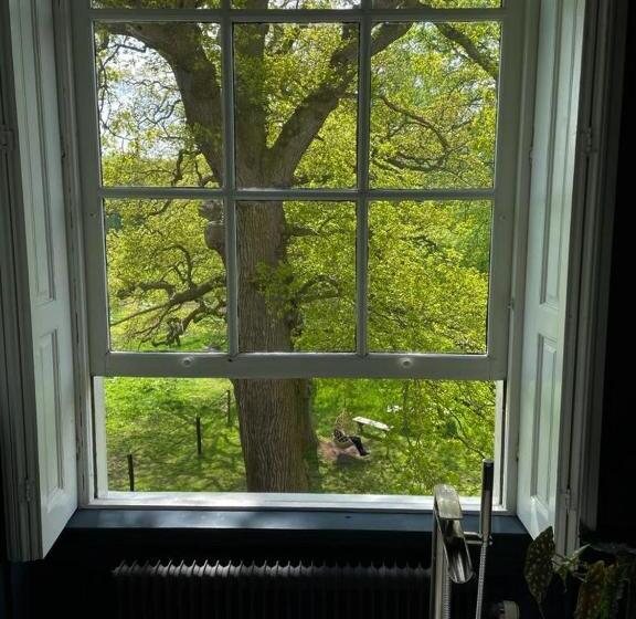 סוויטה משפחתית, Eco Hotel Plantage Rococo