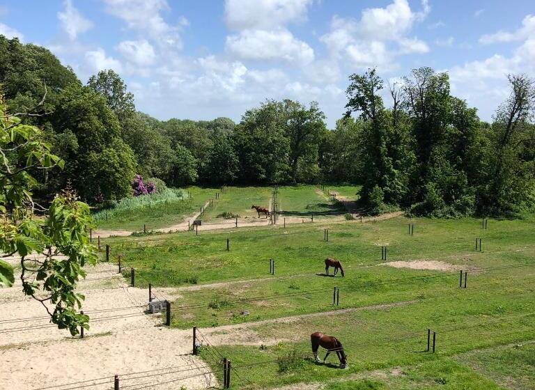 חדר אקונומי, Eco Hotel Plantage Rococo