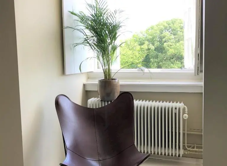 エコノミールーム, Eco Hotel Plantage Rococo