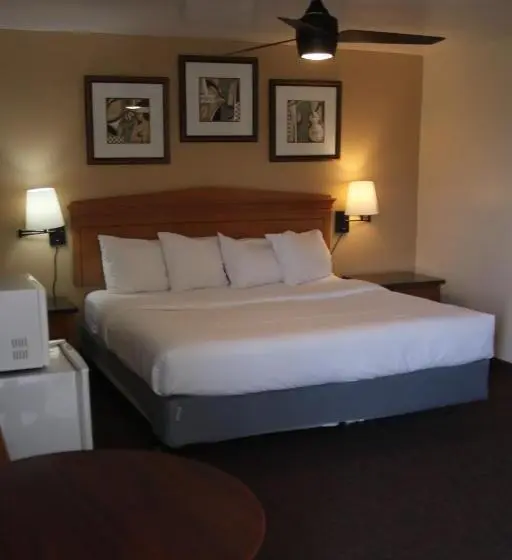 キングサイズベッドのスタンダードルーム, Townhouse Motel
