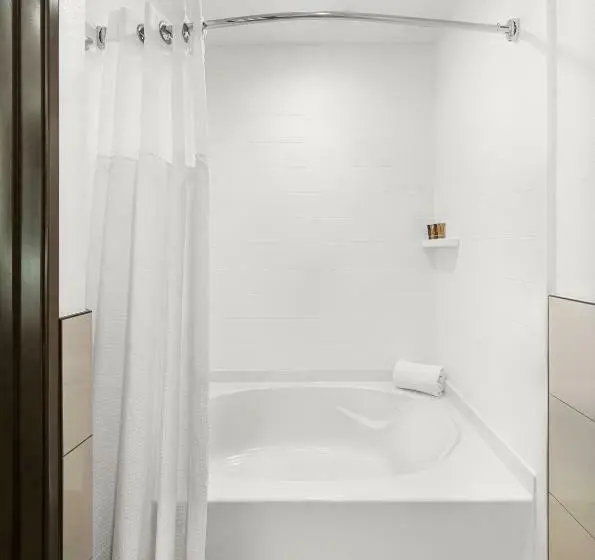 キングサイズベッドのデラックスルーム, Ayres Hotel Vista Carlsbad