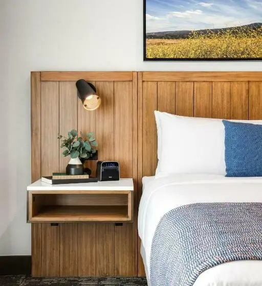 キングサイズベッドのデラックスルーム, Ayres Hotel Vista Carlsbad