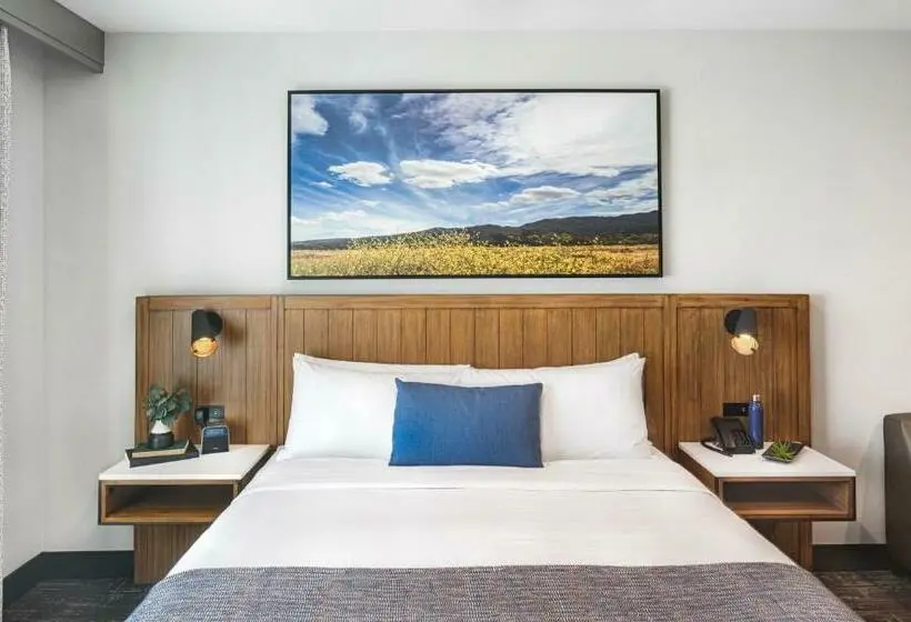 キングサイズベッドのデラックスルーム, Ayres Hotel Vista Carlsbad