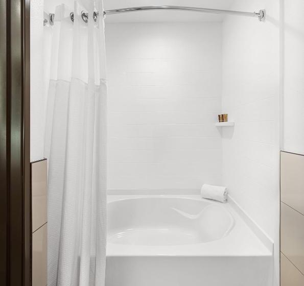 غرفة ديلوكس, Ayres Hotel Vista Carlsbad