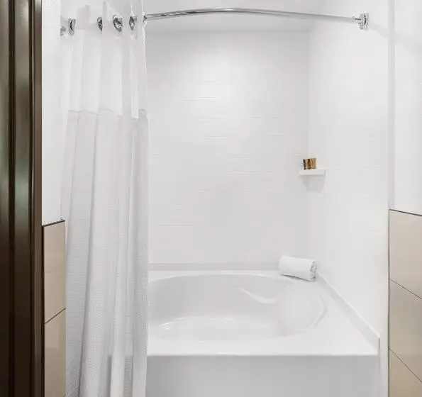 デラックスルーム, Ayres Hotel Vista Carlsbad