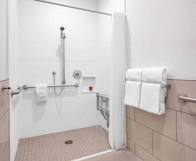 غرفة قياسية سرير كينج لذوى الإحتياجات الخاصة, Ayres Hotel Vista Carlsbad