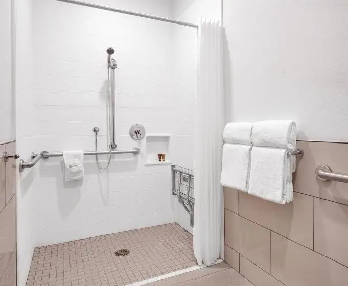 身障者適用キングサイズベッドルーム, Ayres Hotel Vista Carlsbad