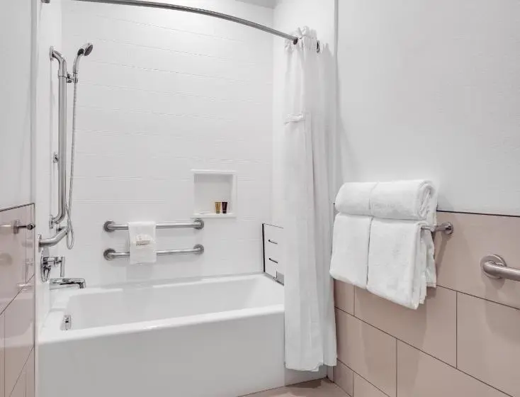 身障者適用キングサイズベッドルーム, Ayres Hotel Vista Carlsbad