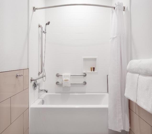 غرفة قياسية سرير كينج لذوى الإحتياجات الخاصة, Ayres Hotel Vista Carlsbad