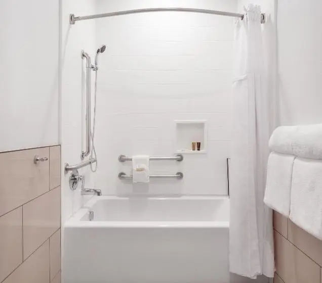 身障者適用キングサイズベッドルーム, Ayres Hotel Vista Carlsbad