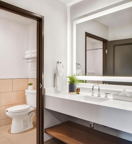 غرفة قياسية سرير كينج لذوى الإحتياجات الخاصة, Ayres Hotel Vista Carlsbad