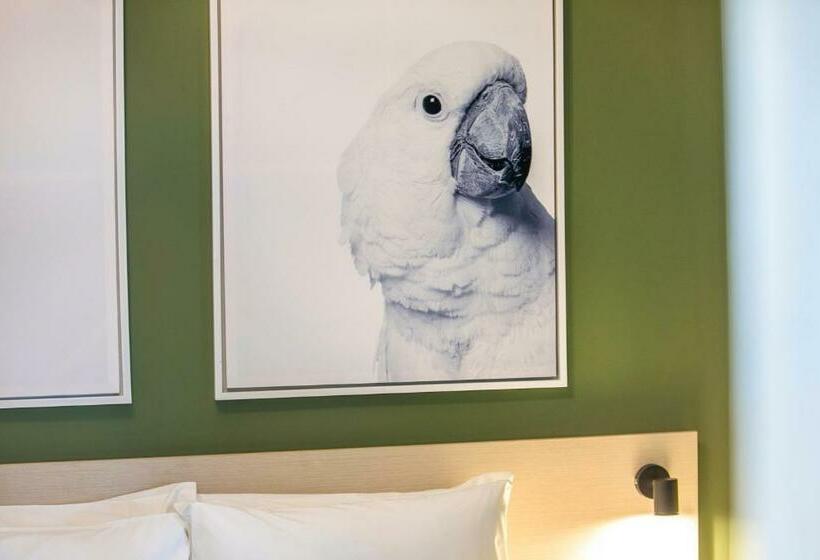 חדר סטודיו סטנדרד, Nightcap At Exeter