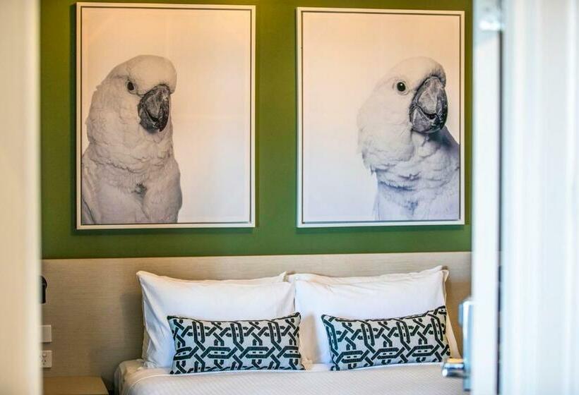 חדר סטודיו סטנדרד, Nightcap At Exeter