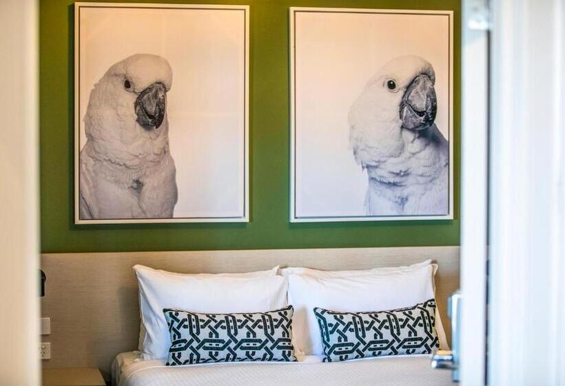 סטודיו משפחתי, Nightcap At Exeter