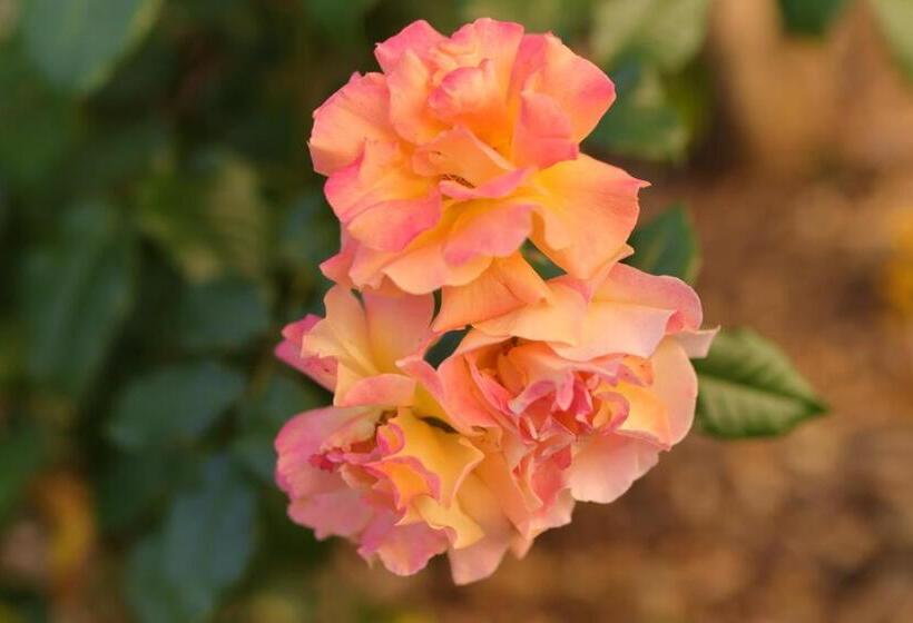 침실 3개 주택, Heumanns Blockhaeuser Am Wald