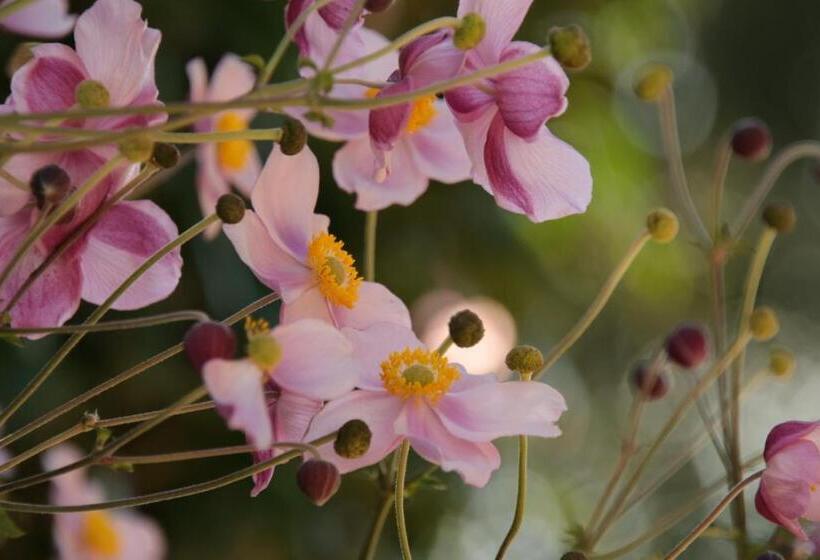 침실 1개 테라스 아파트, Heumanns Blockhaeuser Am Wald