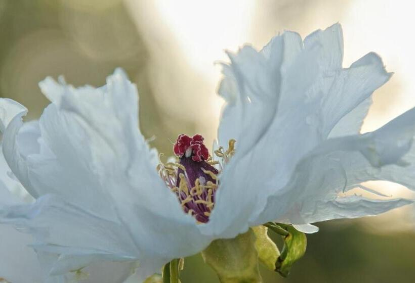 침실 1개 테라스 아파트, Heumanns Blockhaeuser Am Wald