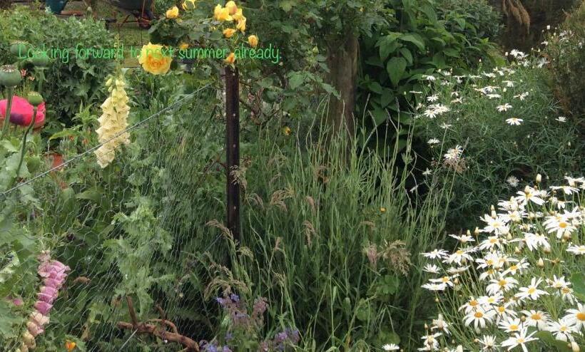 חדר דלוקס, Aashay Country Stay