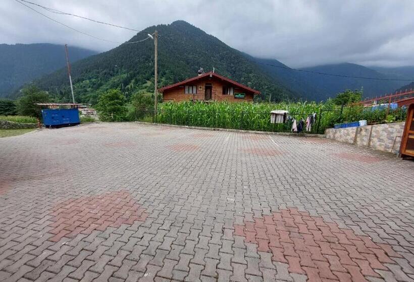 דירת חדר בקומת קרקע, Eş Pansiyon