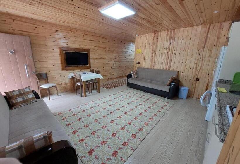 דירת חדר בקומת קרקע, Eş Pansiyon