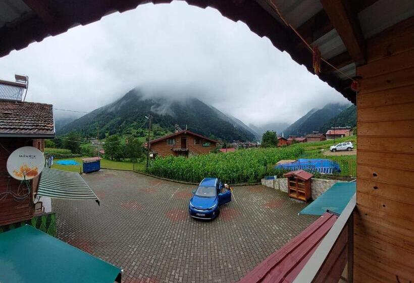 דירה בת חדר שינה 1 עם נוף, Eş Pansiyon