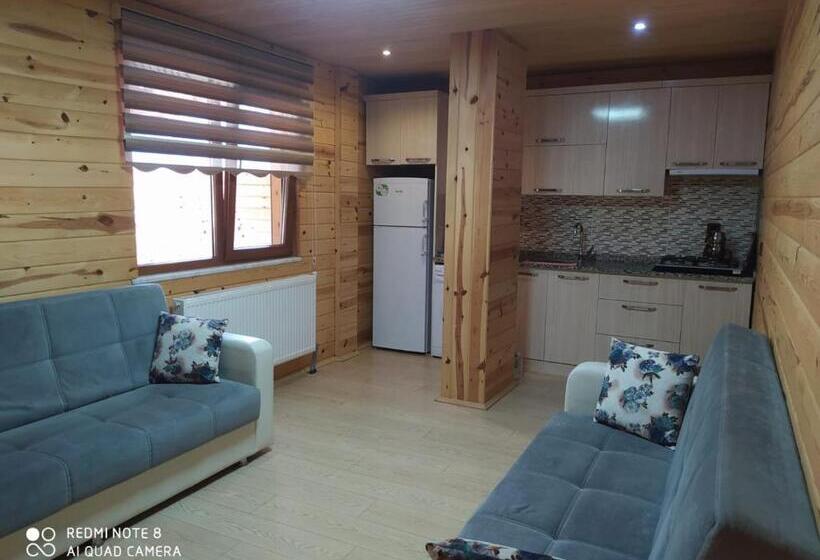 דירה בת חדר שינה 1 עם נוף, Eş Pansiyon