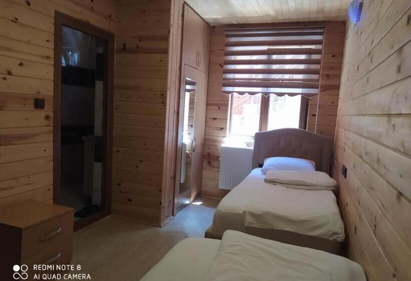 דירה בת חדר שינה 1 עם נוף, Eş Pansiyon