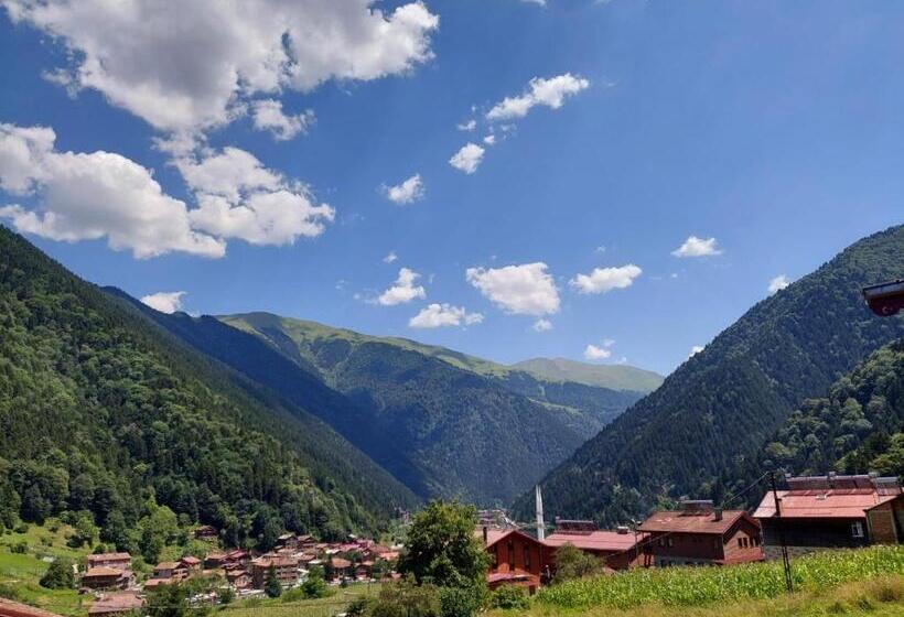 1 Bedroom Apartment Lake View, Eş Pansiyon