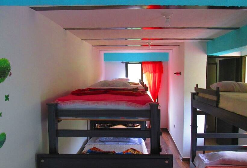 Семейный Номер, Eco Hotel Parador De Rapi