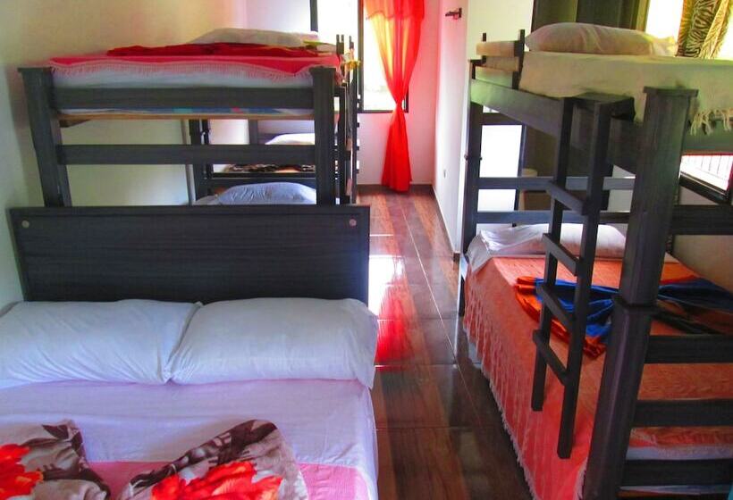 패밀리 룸, Eco Hotel Parador De Rapi