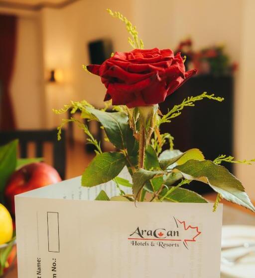 سوییت جونیور, Aracan Portsaid