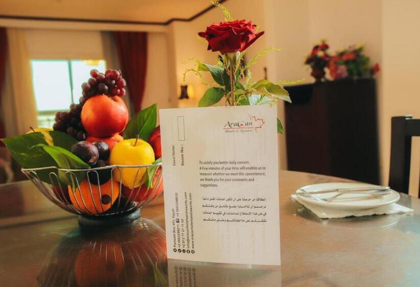 سوییت جونیور, Aracan Portsaid