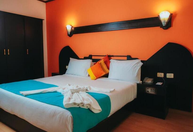 اتاق استاندارد یک نفره, Aracan Portsaid