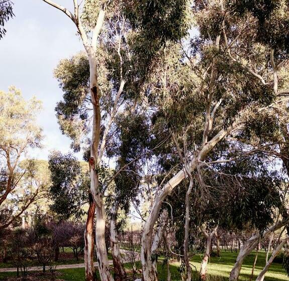 غرفة ديلوكس, Hart's Farm