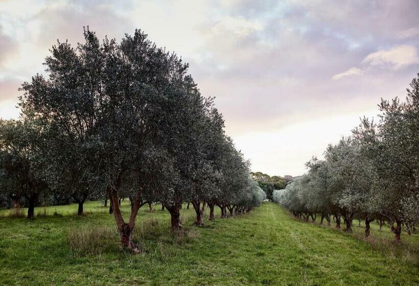 غرفة ديلوكس, Hart's Farm