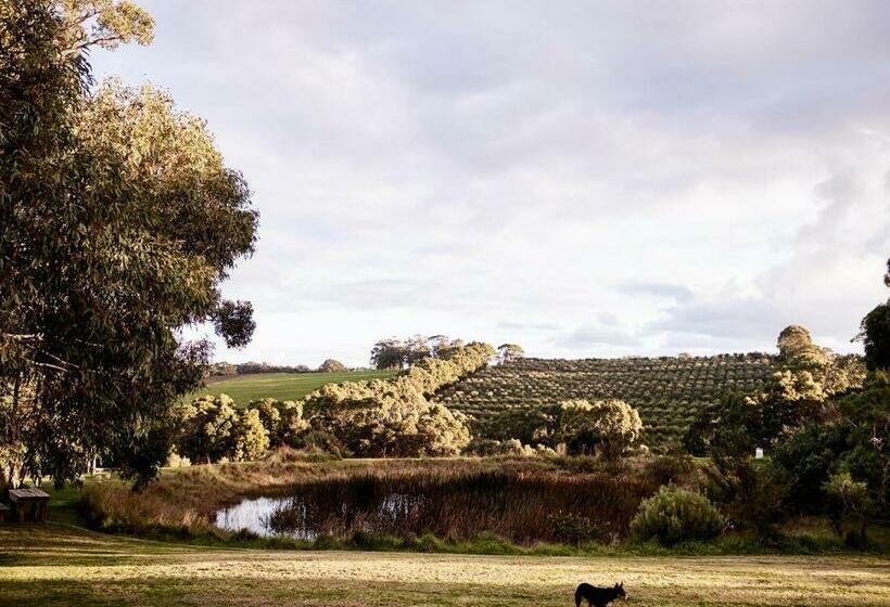 豪华房间, Hart's Farm