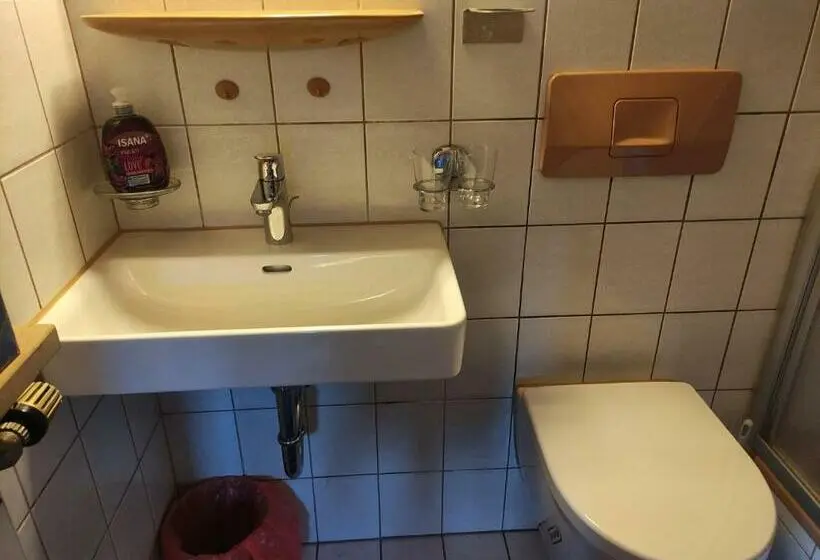 バルコニー付きスタンダードルーム, Landhaus Graßmann