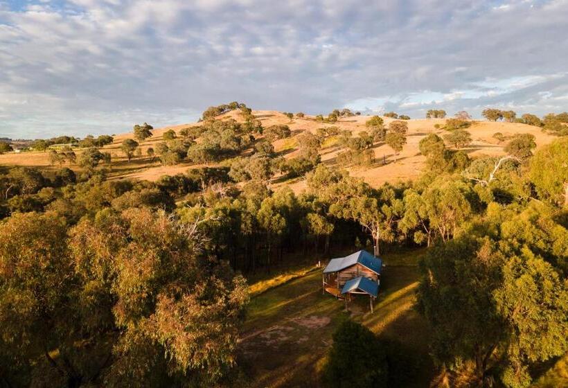 اتاق استاندارد, Gaddleen Grove Cottages