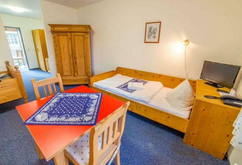 スタンダードシングルルーム, Sächsische Bildungs  Und Begegnungsstätte Windmühle Seifhennersdorf