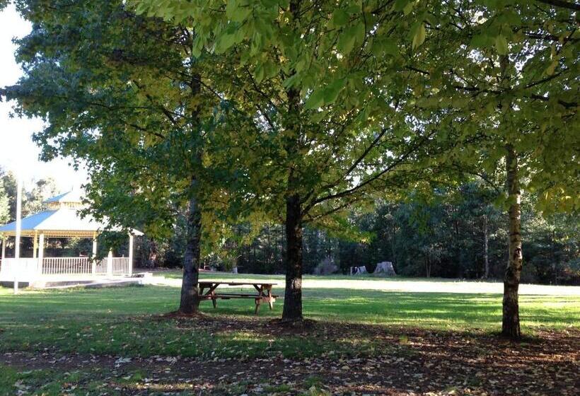 סוויטה עם מרפסת, Goldberryaccommodation