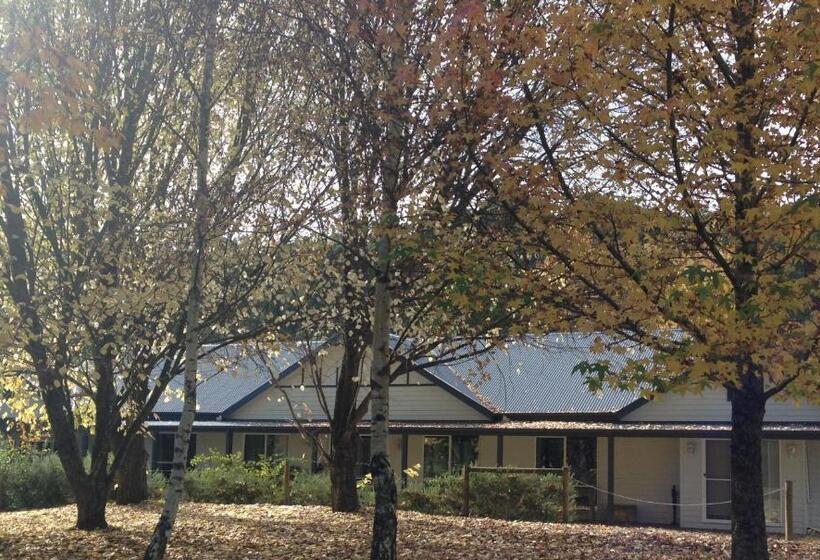 סוויטה דלוקס, Goldberryaccommodation