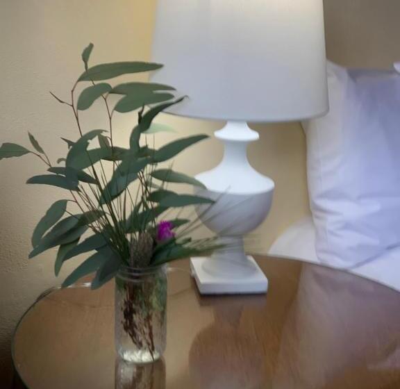 스탠다드 룸 킹사이즈 침대, Temora Motel