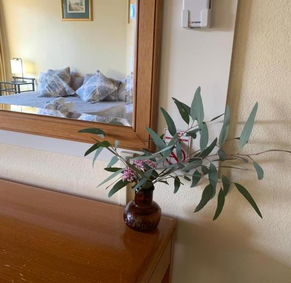 חדר סטנדרט עם מיטת קינג, Temora Motel