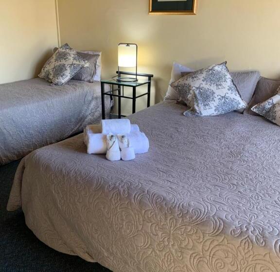 חדר סופריור עם מיטת קינג, Temora Motel