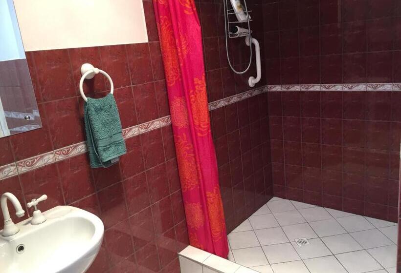 اتاق استاندارد یک نفره, Aarn House B&b Airport Accommodation