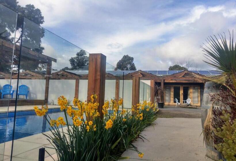 キングサイズベッドのデラックススイート, Happy Wanderer Motel Bendigo Children Not Permitted Over 18s Only