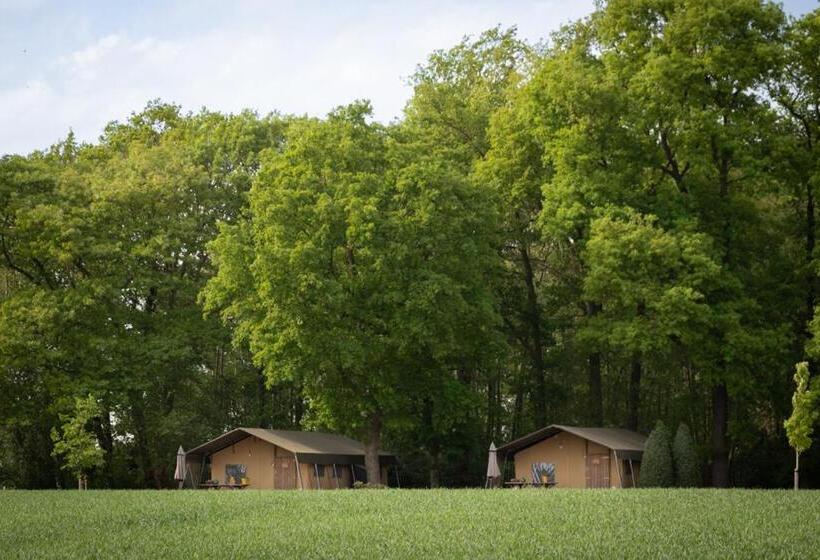 كوخ قياسي, Landrijk De Reesprong Boerderij