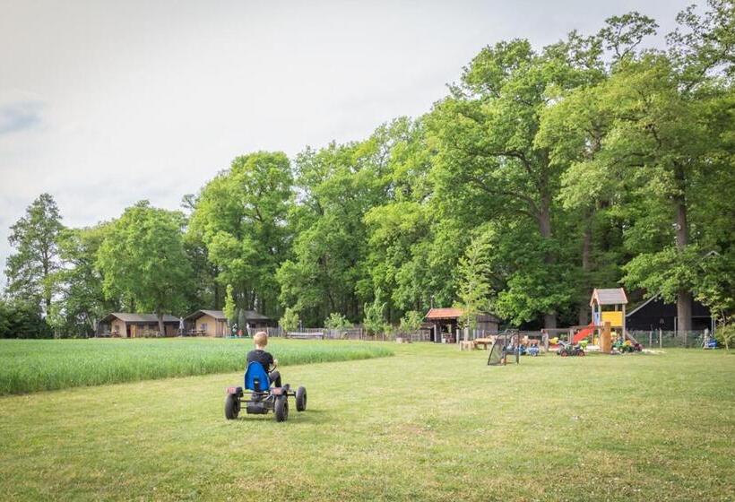 كوخ قياسي, Landrijk De Reesprong Boerderij