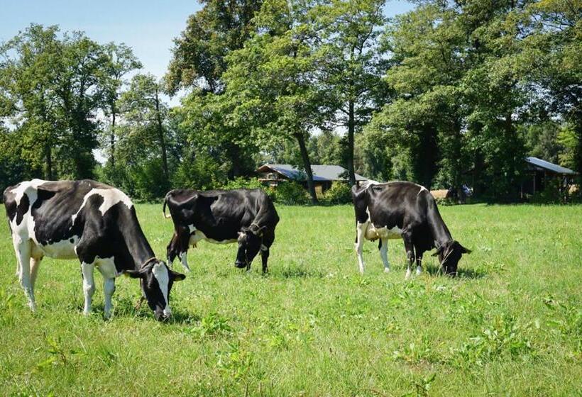 شقة غرفة واحدة مطلة على الحديقة, Landrijk De Reesprong Boerderij