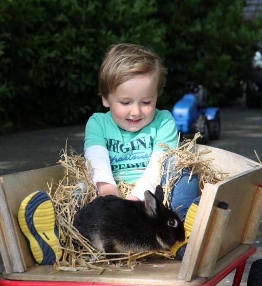 كوخ قياسي, Landrijk De Reesprong Boerderij